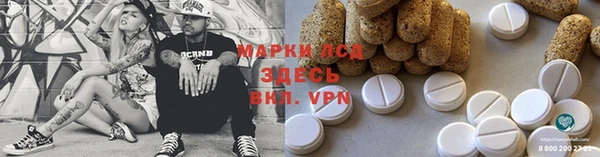 прущие грибы Нестеровская