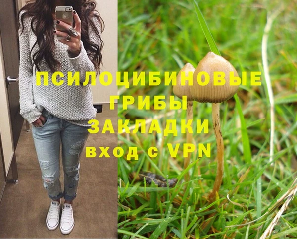 ешки Бугульма