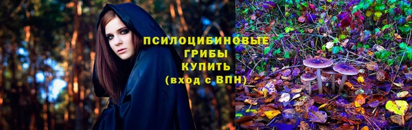 МДПВ Фёдоровский